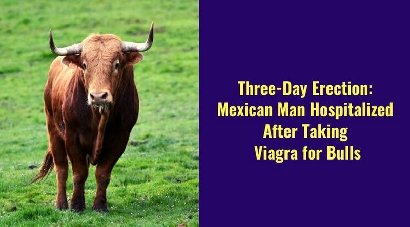 Three-Day Erection_ Mexican Man Hospitalized After Taking Viagra for Bulls